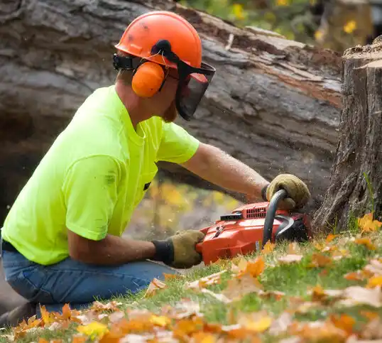 tree services Etowah